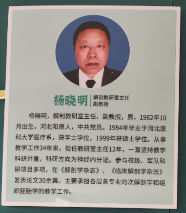 石家庄白求恩医学院教学解剖教研副教授.jpg