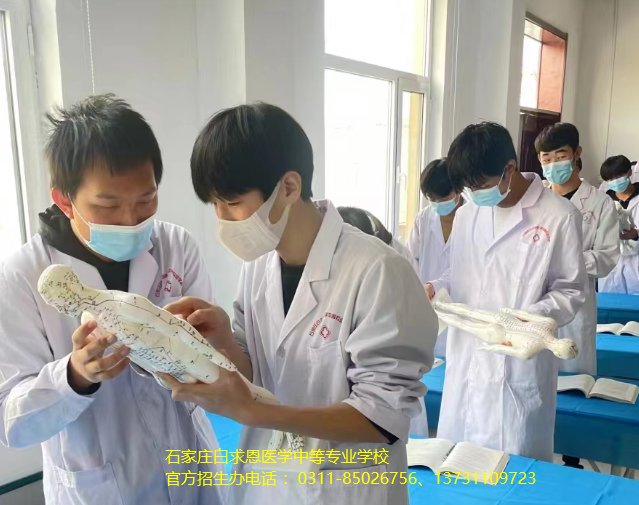石家庄白求恩医学中等专业学校2026年招生计划011.jpg